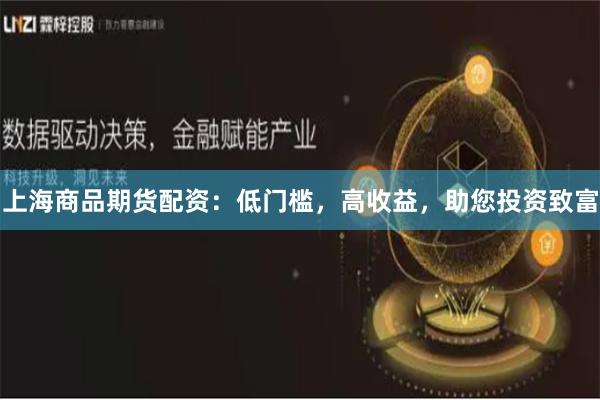 上海商品期货配资：低门槛，高收益，助您投资致富