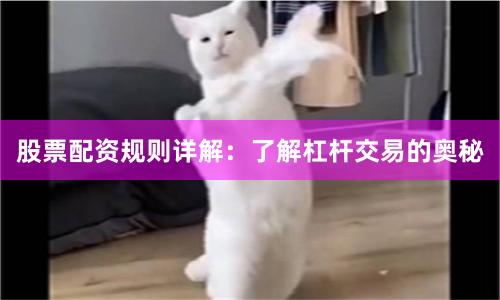 股票配资规则详解：了解杠杆交易的奥秘