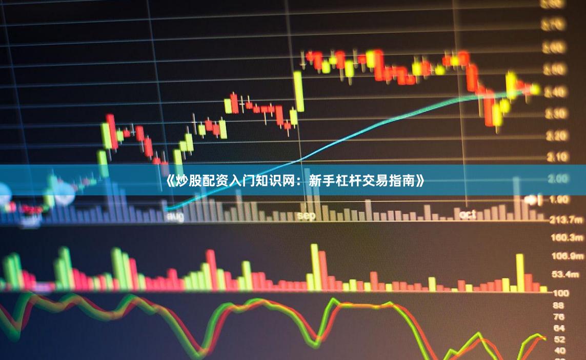 《炒股配资入门知识网：新手杠杆交易指南》